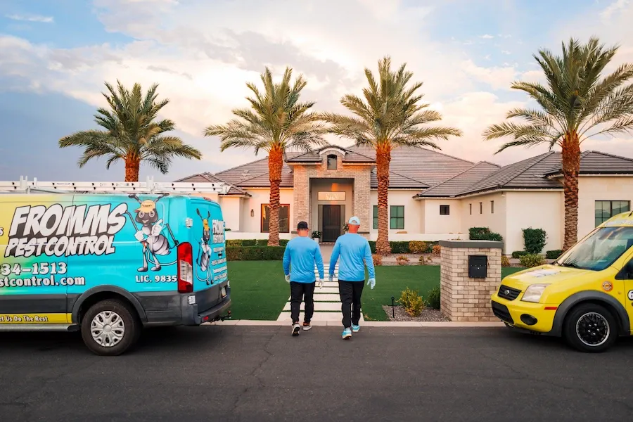 fromms pest control