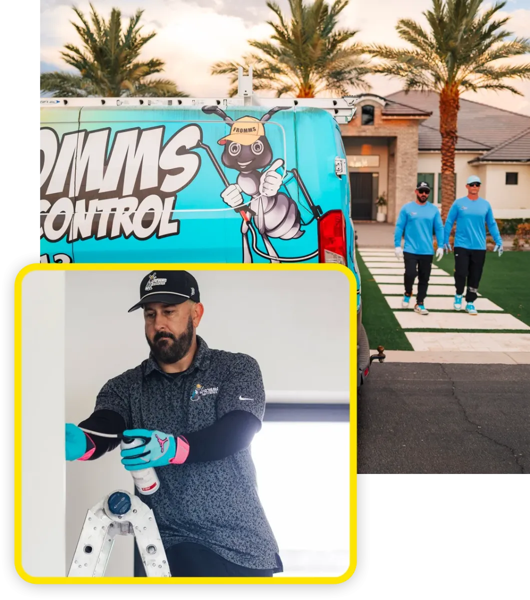 Fromms Pest Control technicians working termite control