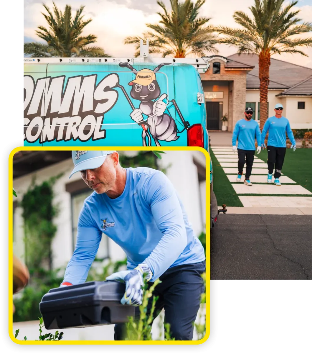 rodent control, technician placing rodent trap outside